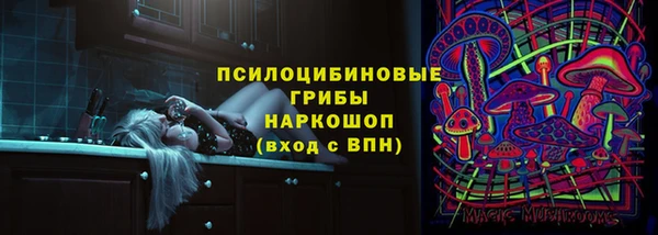 амф Абаза