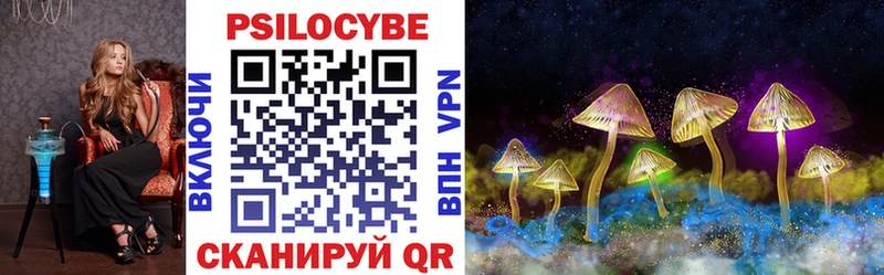 что такое наркотик  Судогда  Псилоцибиновые грибы Psilocybe 